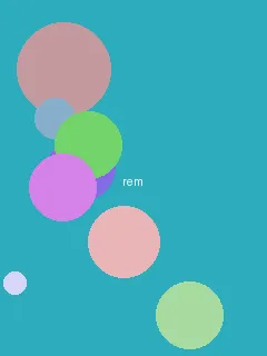 .com9.1.crm - 蕾姆角色图